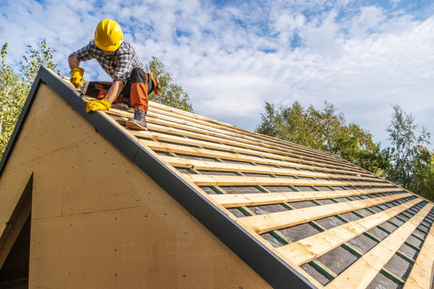 Roof Gutter Cleaning in Rancho Murieta, CA